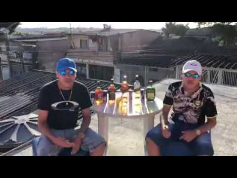 MC'S GÊMEOS SP. MEDLEY🔥