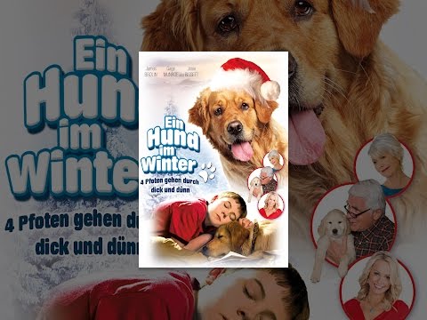 Ein Hund im Winter