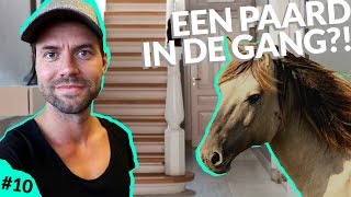 Simon #Vlog 10: EEN PAARD IN DE GANG?!