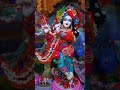 ️ Joi Joi Pyaro Kare ️ Banke Bihari Bhajan Radha Krishna Bhakti Vrindavan Bhajan Shorts