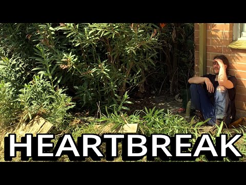 The Day My Work Actually Meant Something - FREE GARDEN TRANSFORMATION