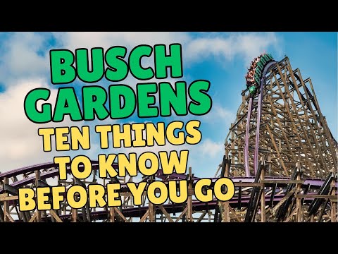 Busch Gardens Tampa: 10 Things You NEED to Know Before You Go!