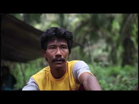 När palmolja blir biodiesel