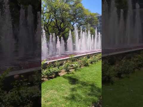 Mendoza Vibes, wine tour starting from the city