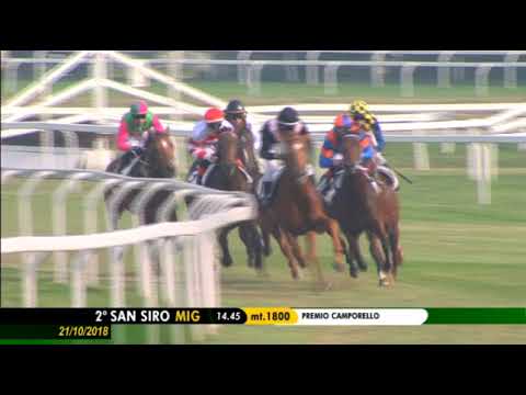 2018.10.21 Premio Campobello (ITA) - Call Me Love