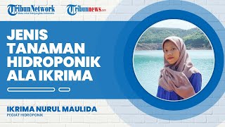 Fakta di Balik Viralnya Konten Bercocok Tanam Ala Anak Kos, Bukan Ahli Botani atau Petani