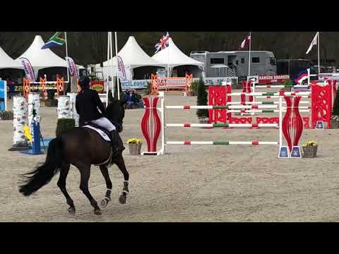 SA Stables " Corradina " by Diamant de Semilly/Corrado CSI*** Lanaken 150m