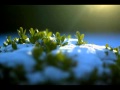 Distance & Alys Be - Falling (Extended version ...