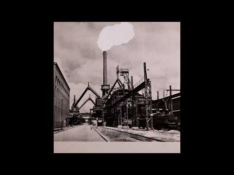 L.H.D. Tzar of Premantura