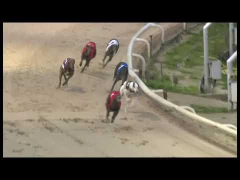 Droopys Gold - Coral Sussex Cup - Final