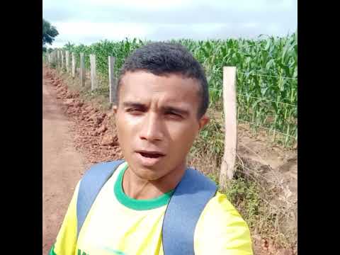 Em São Domingos do Maranhão empresário tira agricultores de situação crítica