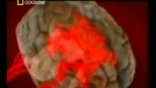 COMO FUNCIONA EL CEREBRO DE LOS PIANISTAS