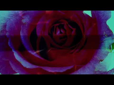 Mother Tongue - Bring Me The Horizon | Prïnceps & The Castaway (Live Acoustic)