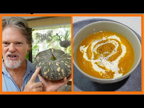 The Best Pumpkin Soup Recipe