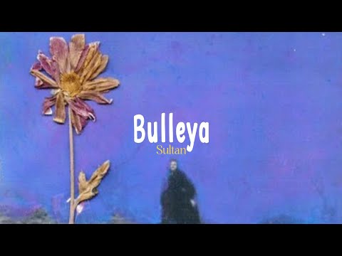 Bulleya (lyric video) - Sultan, Salman, Anushka, Vishal & Shekhar, Irshad Kamil, Papon