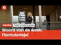 Het Twentse woord van de week: Flantuterieje!