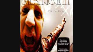Meshuggah - War