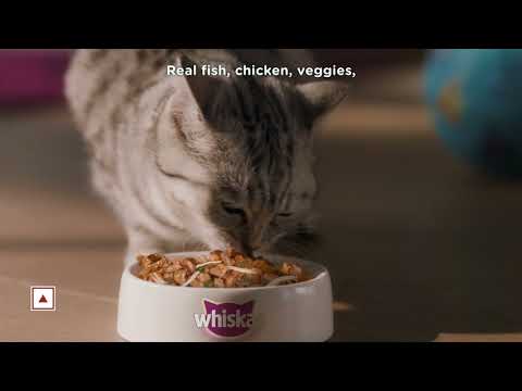 Whiskas Tasty Mix - Make Every Meal Special for your cat