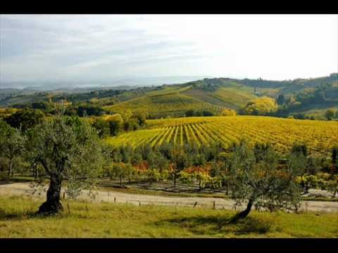 Rod rodile zute kruske