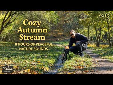 Cozy stream in the autumn park Pohulyanka #4