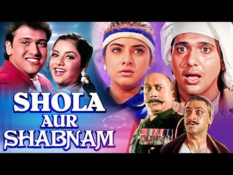 गोविंदा की ब्लॉकबस्टर मूवी - Shola Aur Shabnam - Full Hindi Movie - Govinda, Divya Bharti - HD