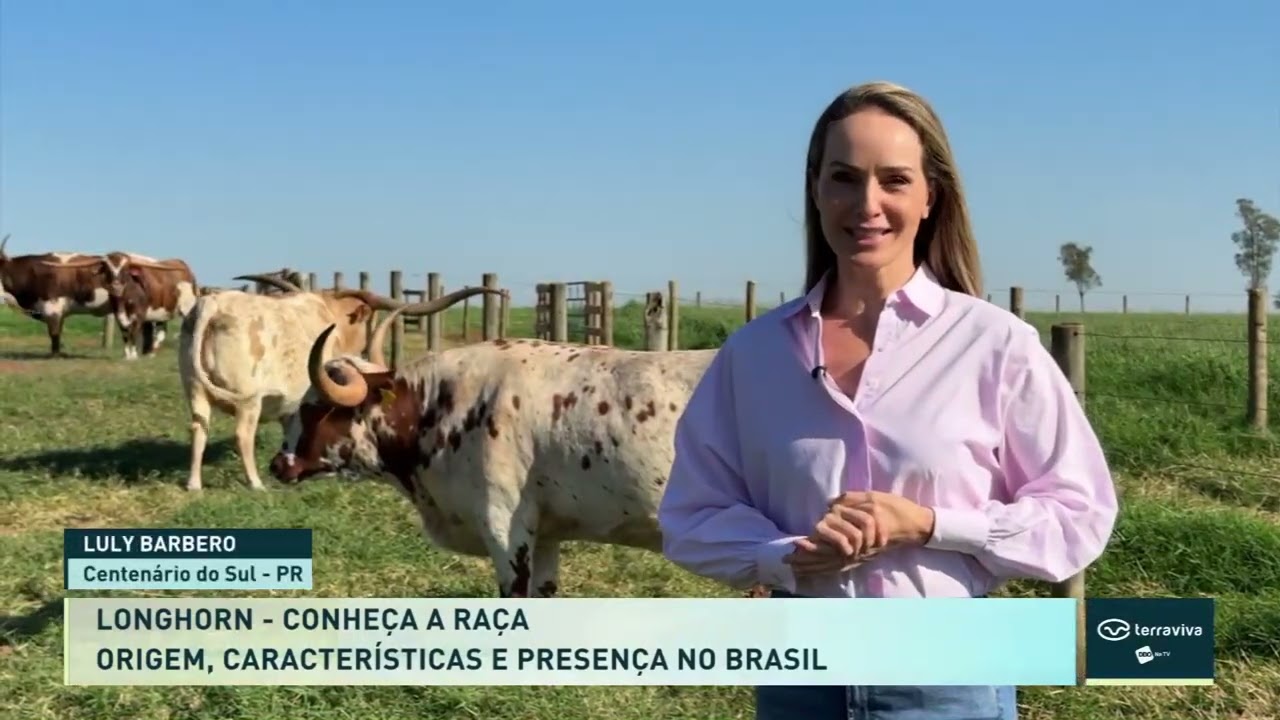 Íntegra Terraviva DBO na TV - 29/10/2026