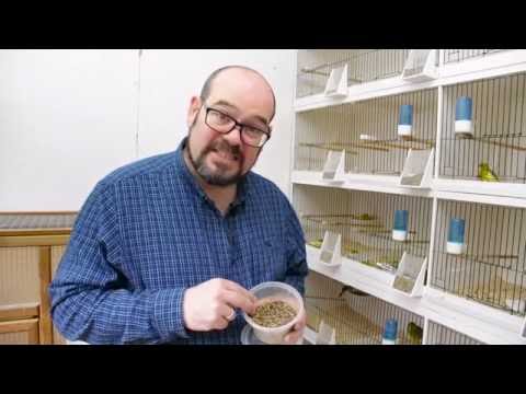 The Canary Room - Episode 7 Preview