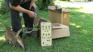 Video thumbnail for Unboxing Moog Claravox Centennial Theremin by Rupert Chappelle