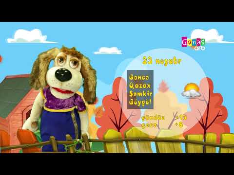 "Hava necə olacaq?" - 23 noyabr 2024-cü il