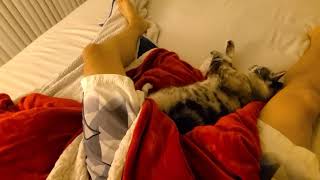 【海外動画】足の間で寝る猫が可愛い！！！