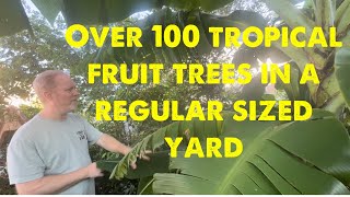 100 fruit tries in a regular backyard