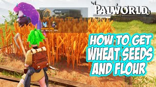 Palworld - How to Get WHEAT Seeds and FLOUR Easy