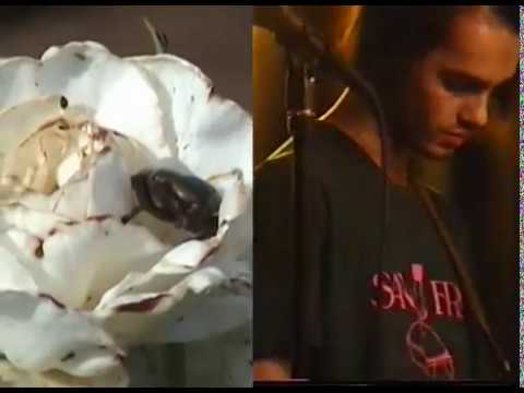 Berliose - Close [Official Music Video]