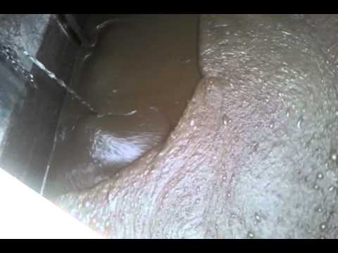 Dia 3 - Bauer MSXH7,5 dompelmixer (video)