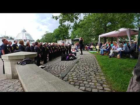 Dreams Norwich Rock Choir
