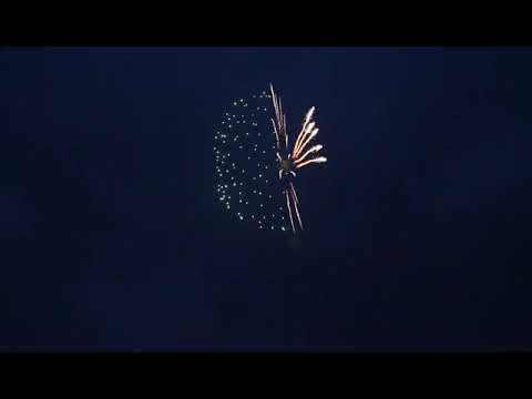 5 inch shell mushroom  绿蘑菇 JY #fireworks #displayshell