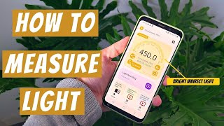 How to Measure Light for Plants using your Phone