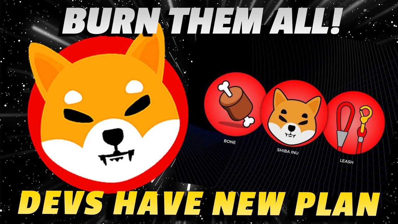 SHIB Burns Sets Stage for LONG TERM GROWTH | Shiba Inu Crypto Token Burn Update Today