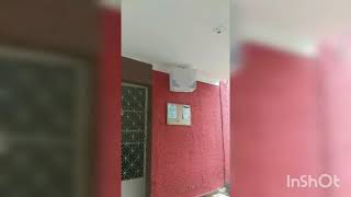 Curió Exclusivo 3273 
