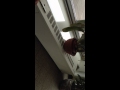 Josh And Ty At Hilda S Shower Pt 4