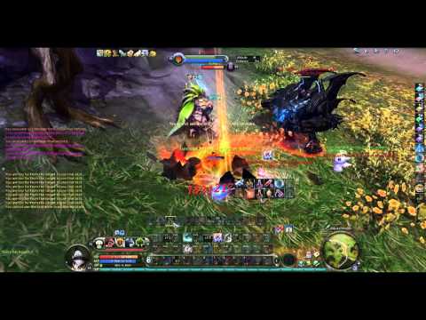 Aion 4.8 PvP Tiamat SM Nofear