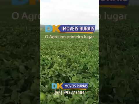 🚜 Fazendas à Venda e Arrendamento no RS | Oportunidades para Investidores e Produtores 🌾