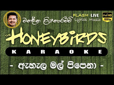 Ahala Mal Pipena Karaoke (Without Voice) ඇහැල මල් ‍පිපෙනා කැරෝකේ