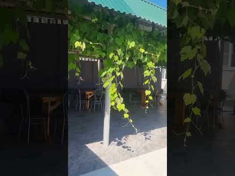 Гостевой дом «Руслан» - Кындыг, ул. Мира видео