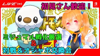 オシャボ交換＆対戦会！初見さん歓迎！無限ミジュマル孵化作業編【ポケモンSV】