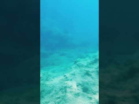 Dreamers Inc. - Midnight Summer dream (Livin R&K Mass remix)