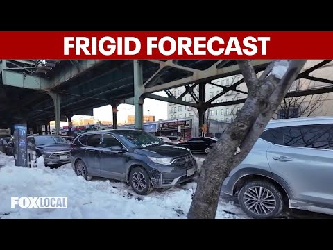 Extreme cold warning, ice rescue training and protecting your pets | Good Day Weekend