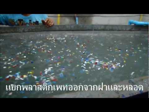 ศักยภาพของอริสโตเติล รักษาความอ่อนแอ