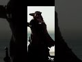 Captain Jack Sparrow Entry WhatsApp Status Johnnydepp Captainjacksparrow