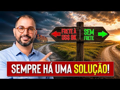 Frete da China p/ o Brasil a USD 9000: como os importadores profissionais estão contornando a crise